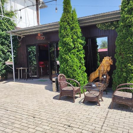 Hotel В Гостях На Иссык-Куле Cholpon-Ata Exteriér fotografie